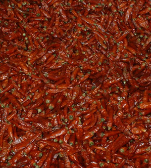 header image 2