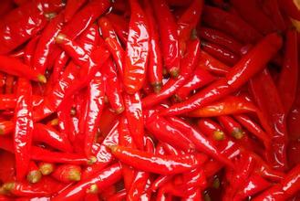 header image 2